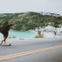Surfskate : qu'est-ce que c'est, comment &ccedil;a marche et comment choisir le skatebo